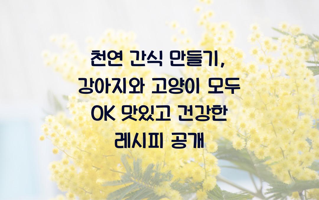 천연 간식 만들기, 강아지와 고양이 모두 OK