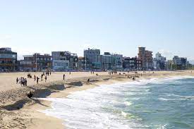 겨울여행 떠나고 싶은 곳 베스트 2. 강릉