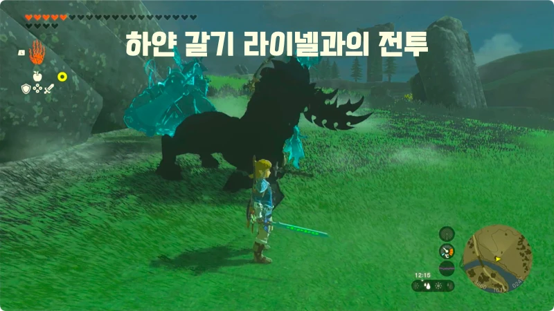 링크 공격력 향상을 위한 라이넬 사냥