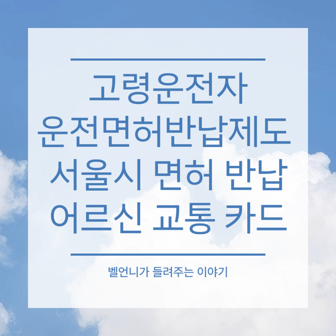고령운전자 운전면허 반납제도 서울시 면허 반납 어르신 교통 카드