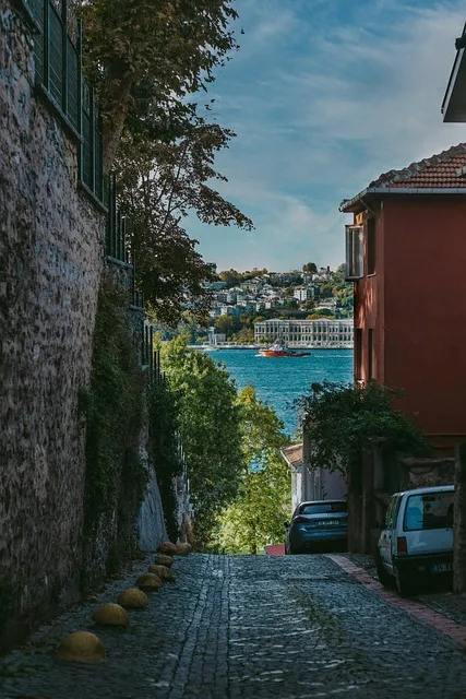 넌센스 퀴즈 모음 100개 이상 총 정리_8