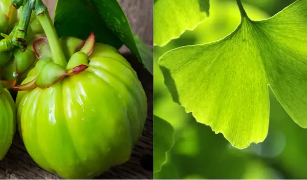 리서쳐스 투비컷 부작용 효능 성분 2BCUT 후기 복용법 가격