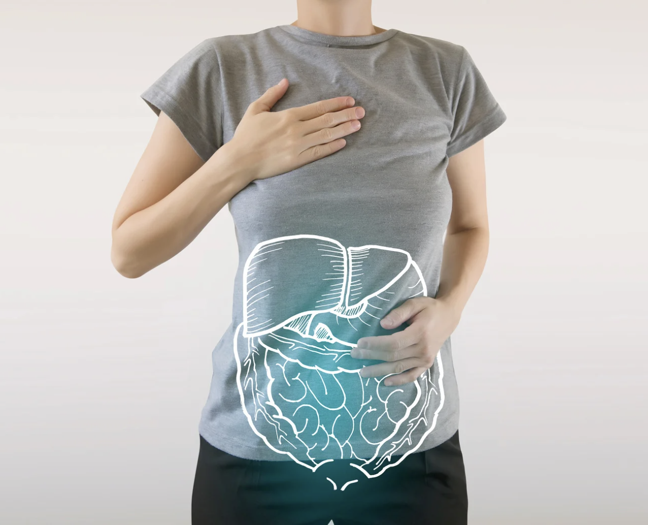 digestion anatomy