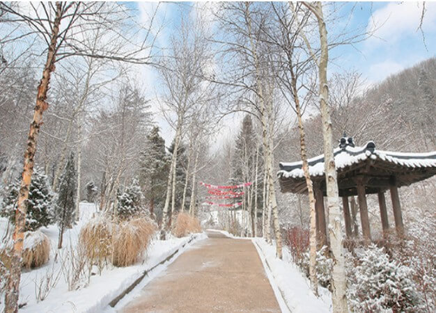 아침고요수목원 겨울사진