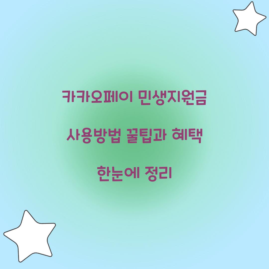 카카오페이 민생지원금 사용방법