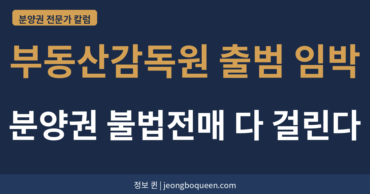 부동산감독원 출범 임박