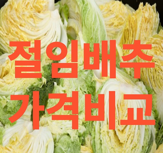 절임배추 가격비교