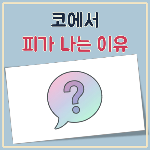 코에서 피가 나는 이유 대표 이미지