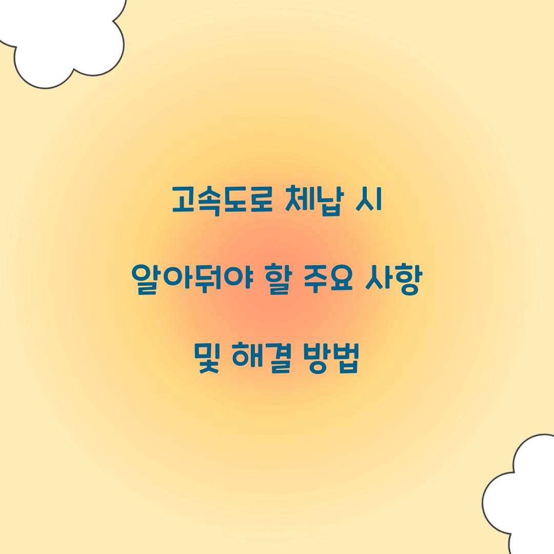 고속도로 체납