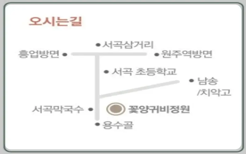 원주 용수골 꽃양귀비 축제 가는 길