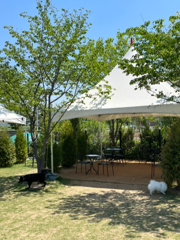 꾸마_멍리버_애견카페