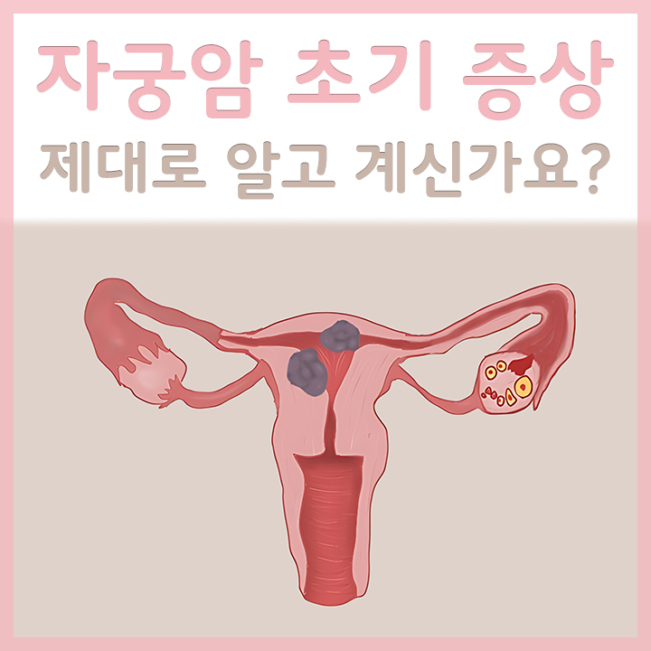 자궁암의-모습