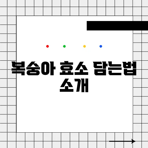 복숭아 효소 담는법 소개
