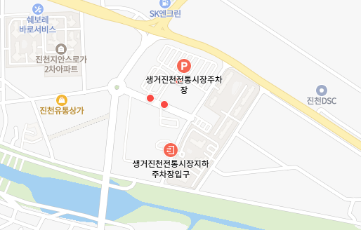 진천 이팝나무길 생거진천전통시장 주차장 위치