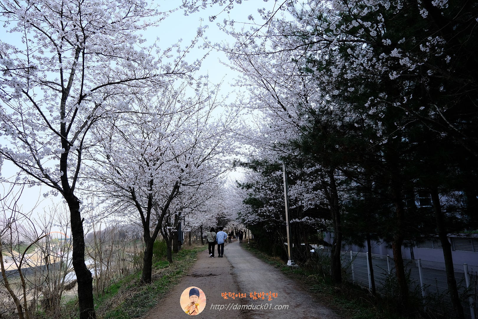 황구지천