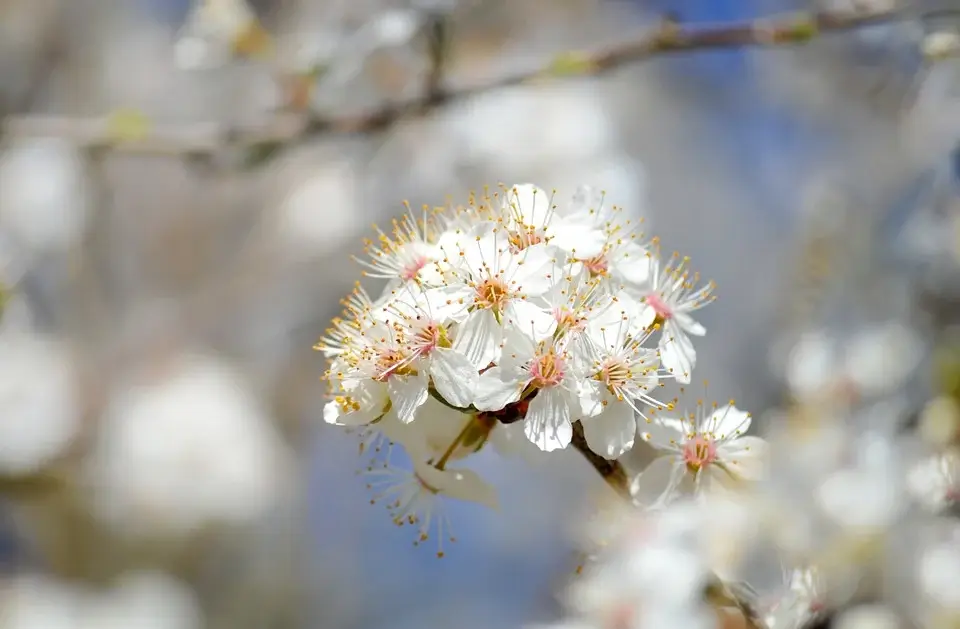 감정적 폭식 전 알아차림 훈련 – CBT 기반 체크리스트