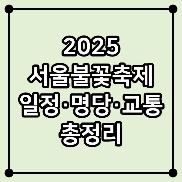 2025 서울불꽃축제 여의도 불꽃놀이