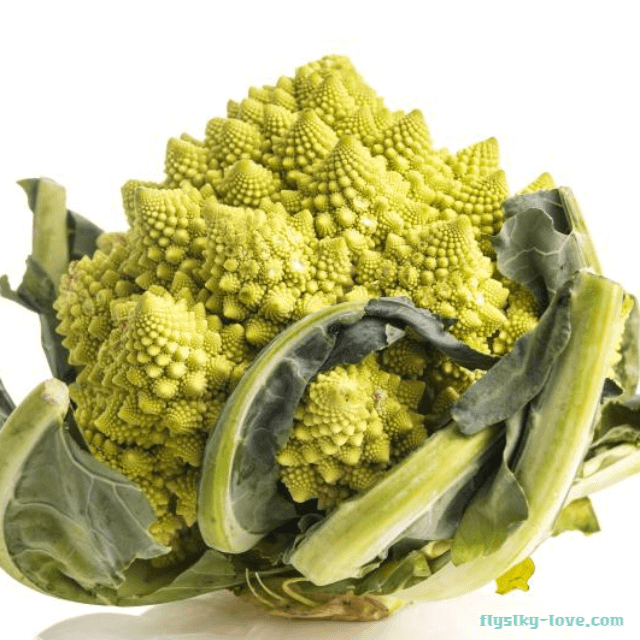 신기한 채소 로마네스크 브로콜리