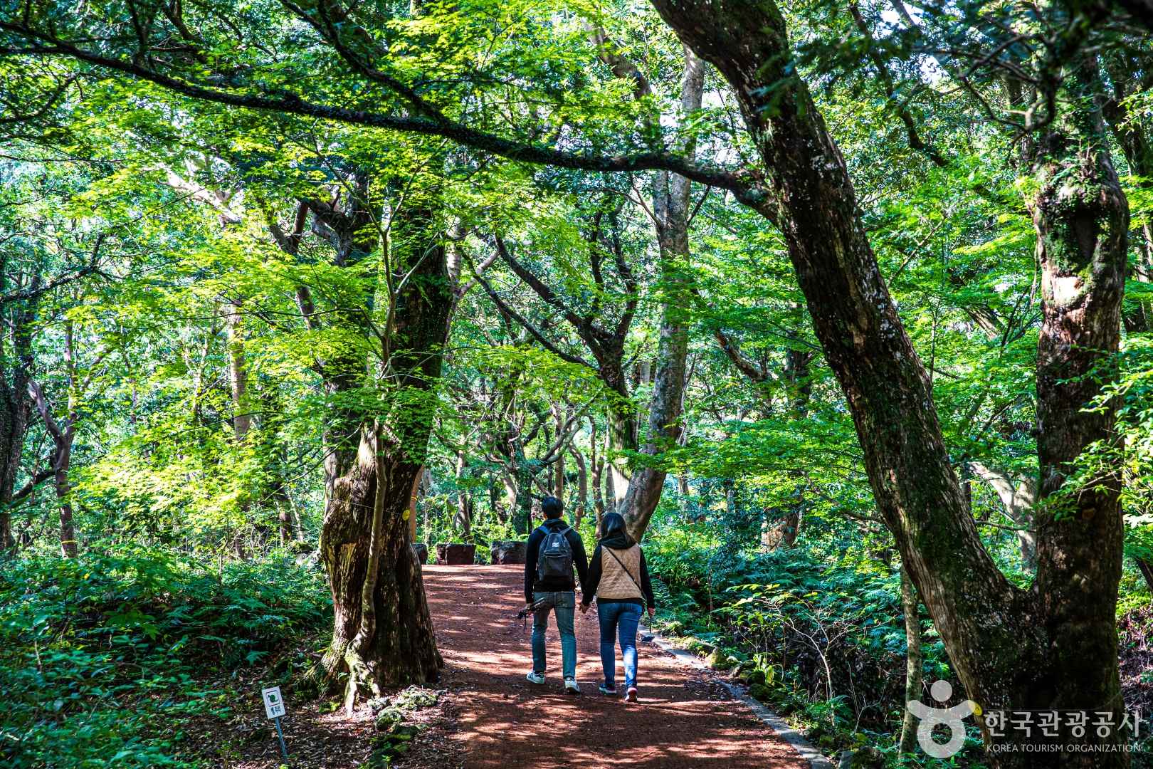 비자림 자연휴양림
