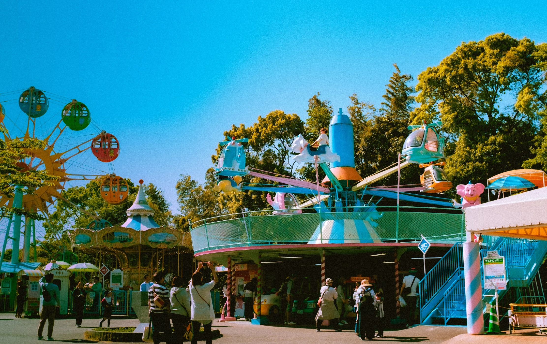 이월드 자유이용권 가격