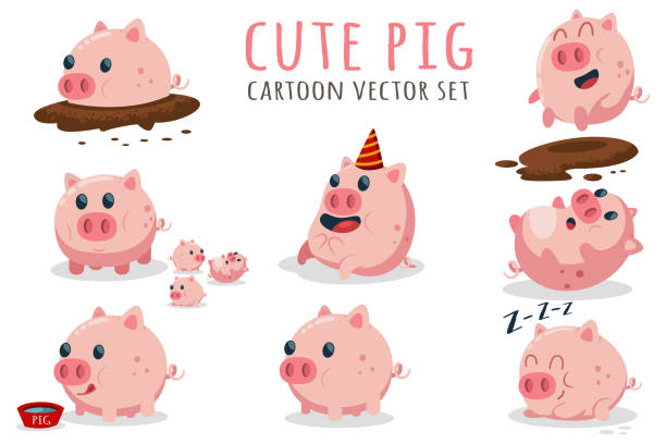 2025년 신용카드 소득공제 최대 혜택 받는 법