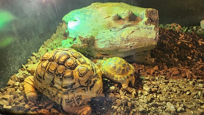 아쿠아 플라넷 제주