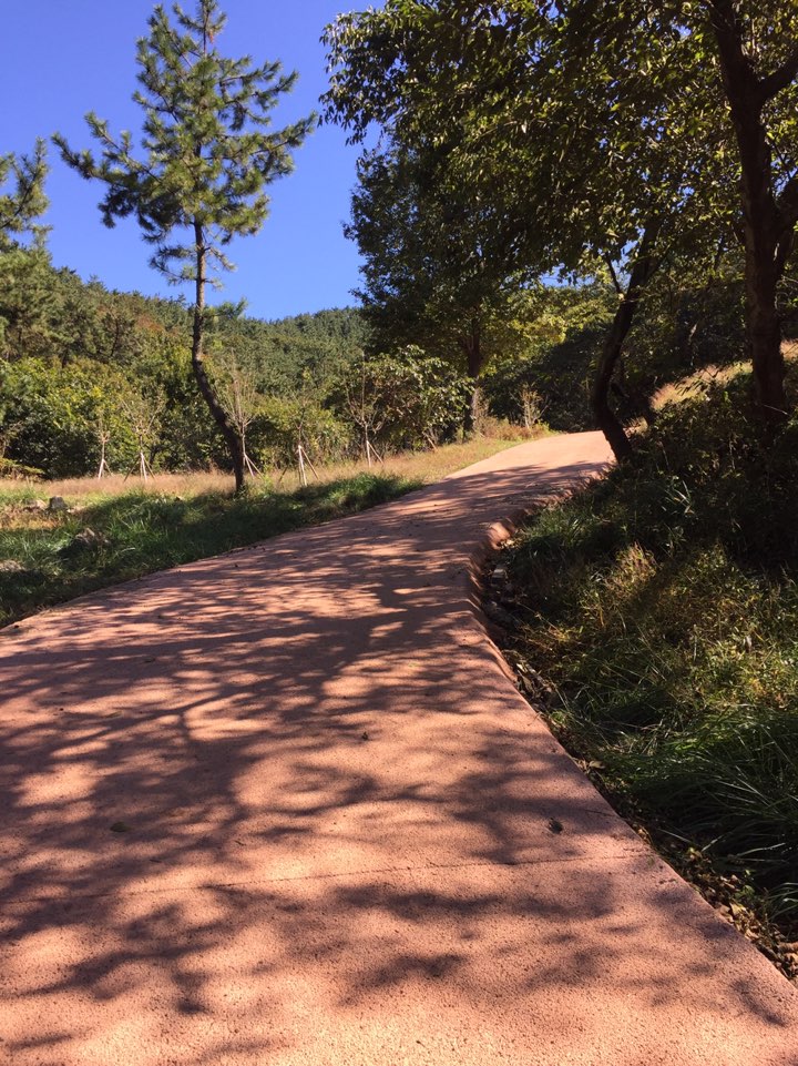 해운대 산책코스 송정옛길