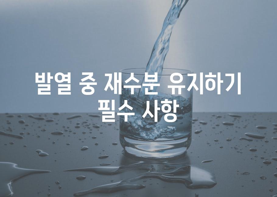 발열 중 재수분 유지하기 필수 사항