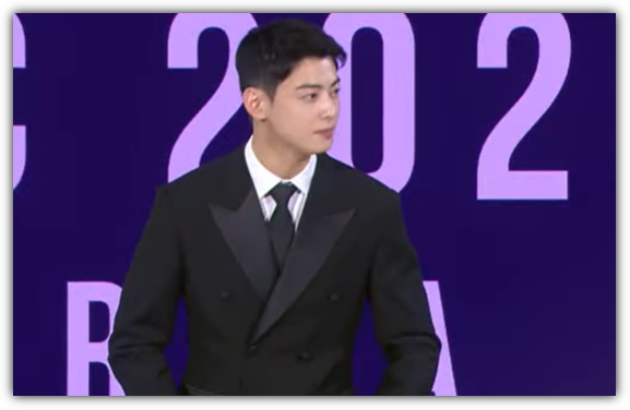 APEC 만찬 사회자 차은우