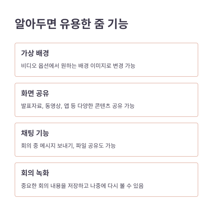 줌 회의 중 유용한 기능들