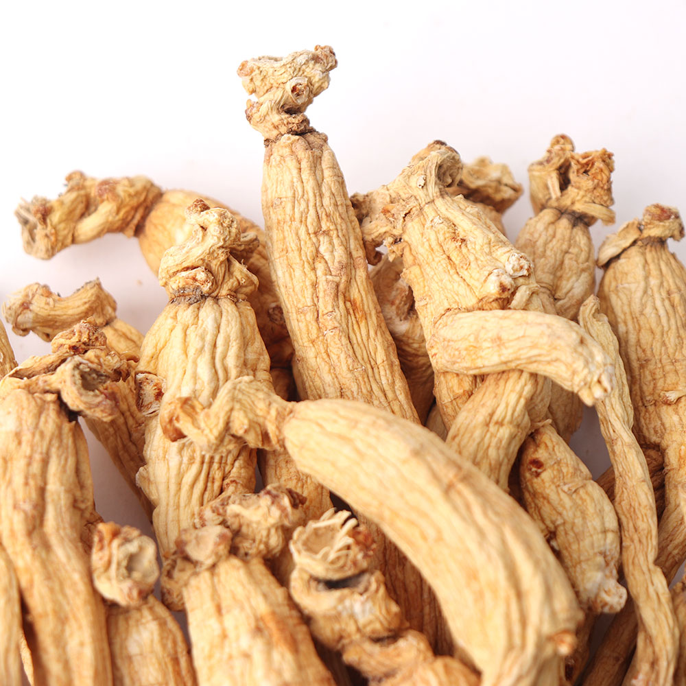 말린 인삼 사진