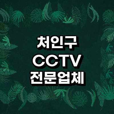 용인 처인구 cctv