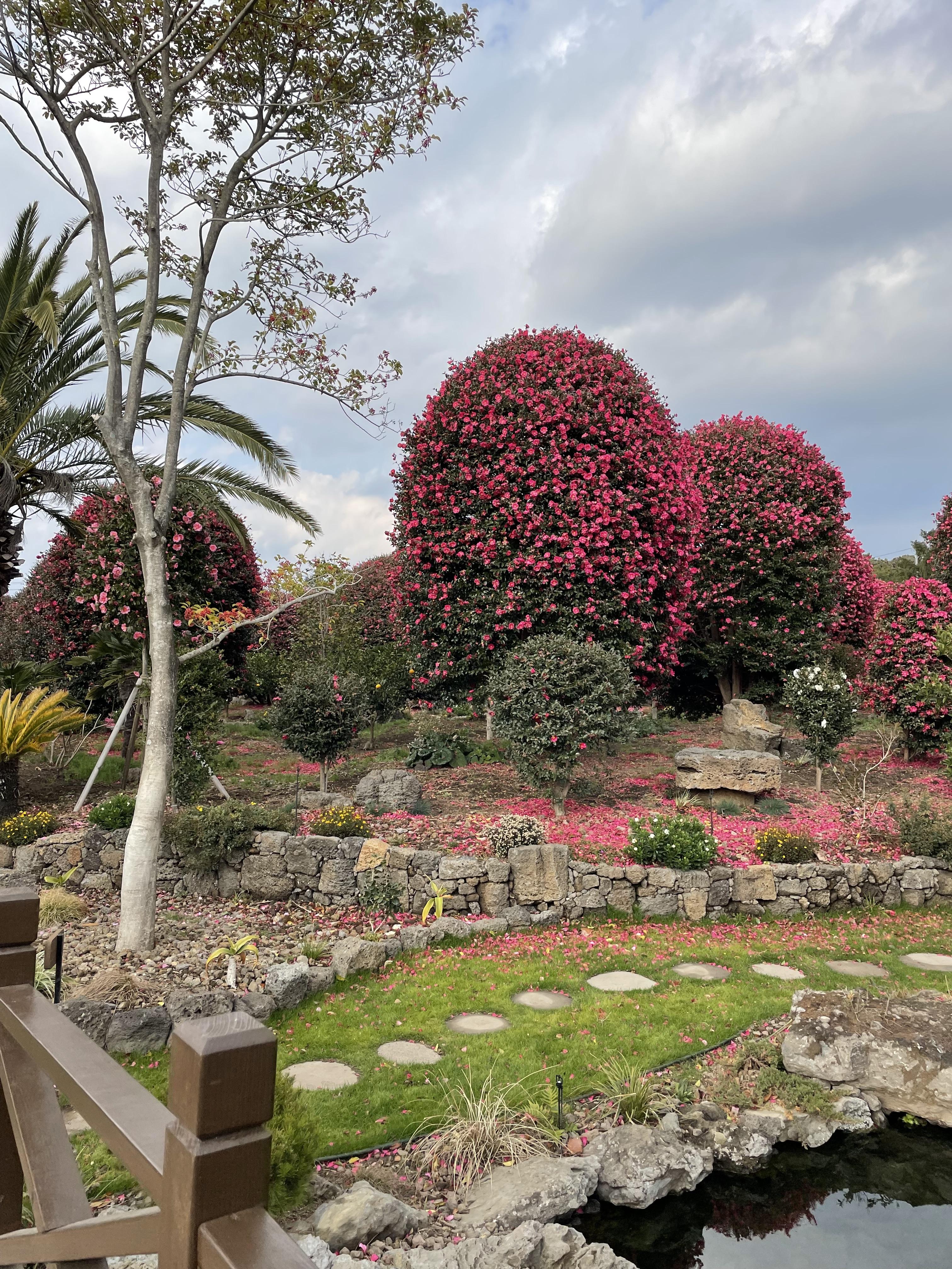 제주동백수목원