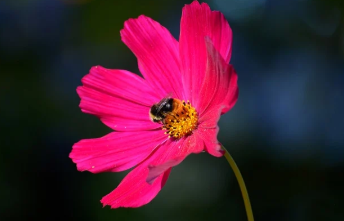 사전투표 준비물 바로 보기 16