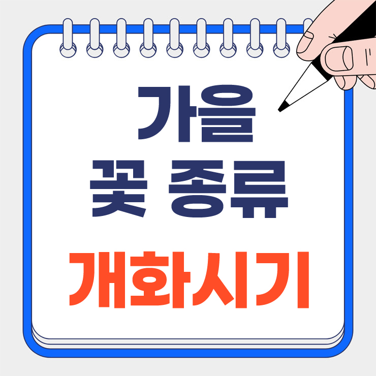 가을꽃 종류