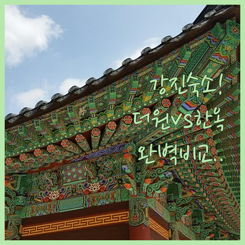 강진 여행 숙소 예약 추천 더원 비즈..
