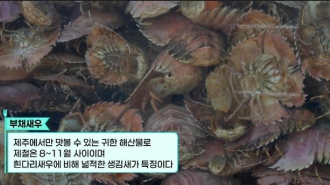 제주-특산물-부채새우-오래옥식당