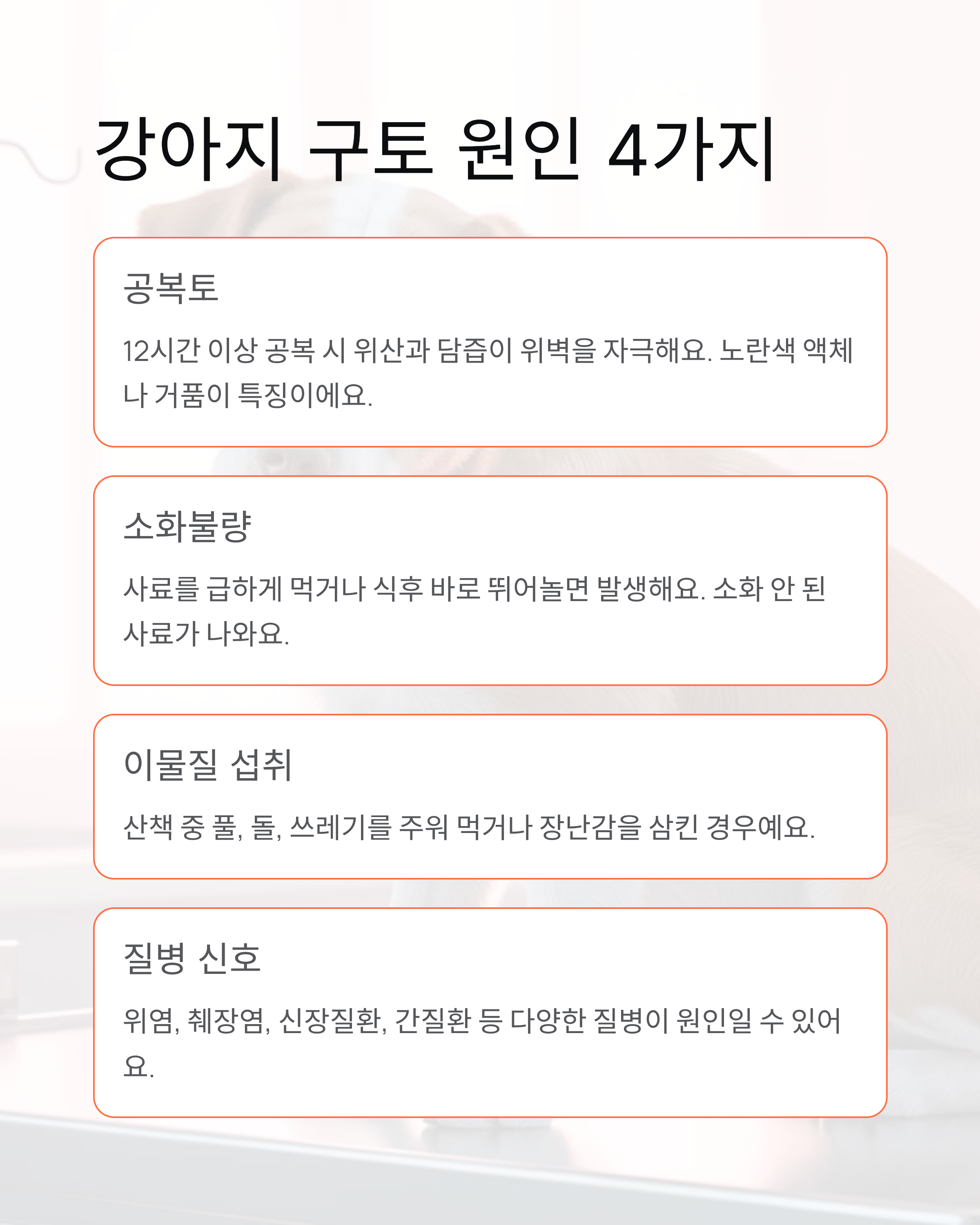 강아지 구토 🐕 색깔만 봐도 알 수 있는 응급상황 완벽 가이드