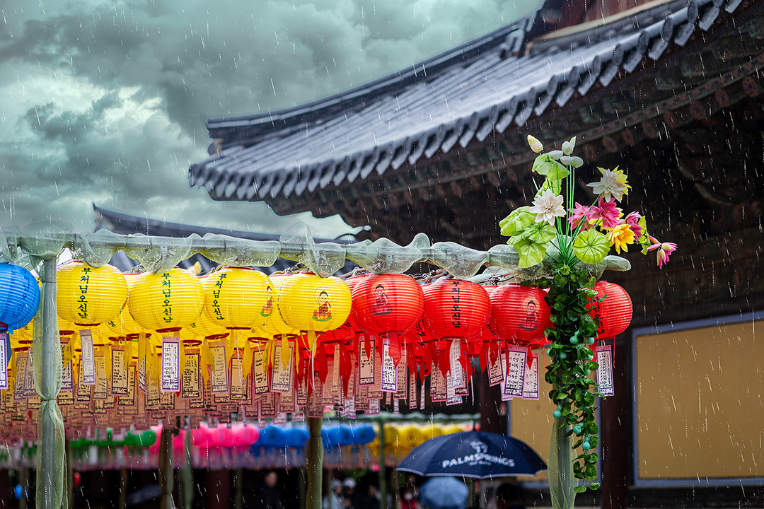 비 오는 불국사, 연등은 마음에 조용히 등을 켠다