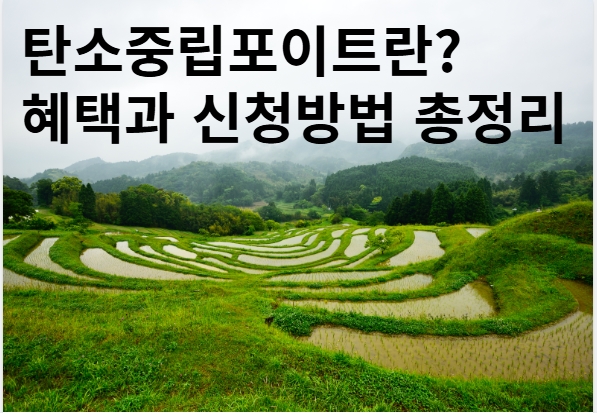 탄소중립포인트란? 혜택과 신청방법 총정리