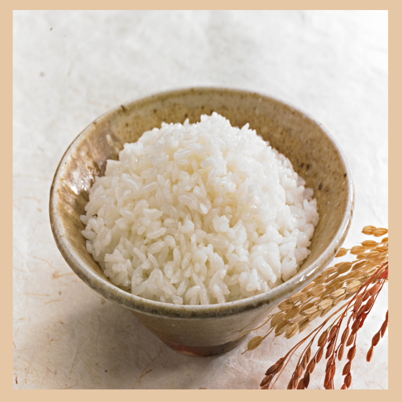 식은밥 효과 제대로 먹는법 저항성 전분