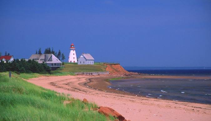 빨강머리앤 관련사진