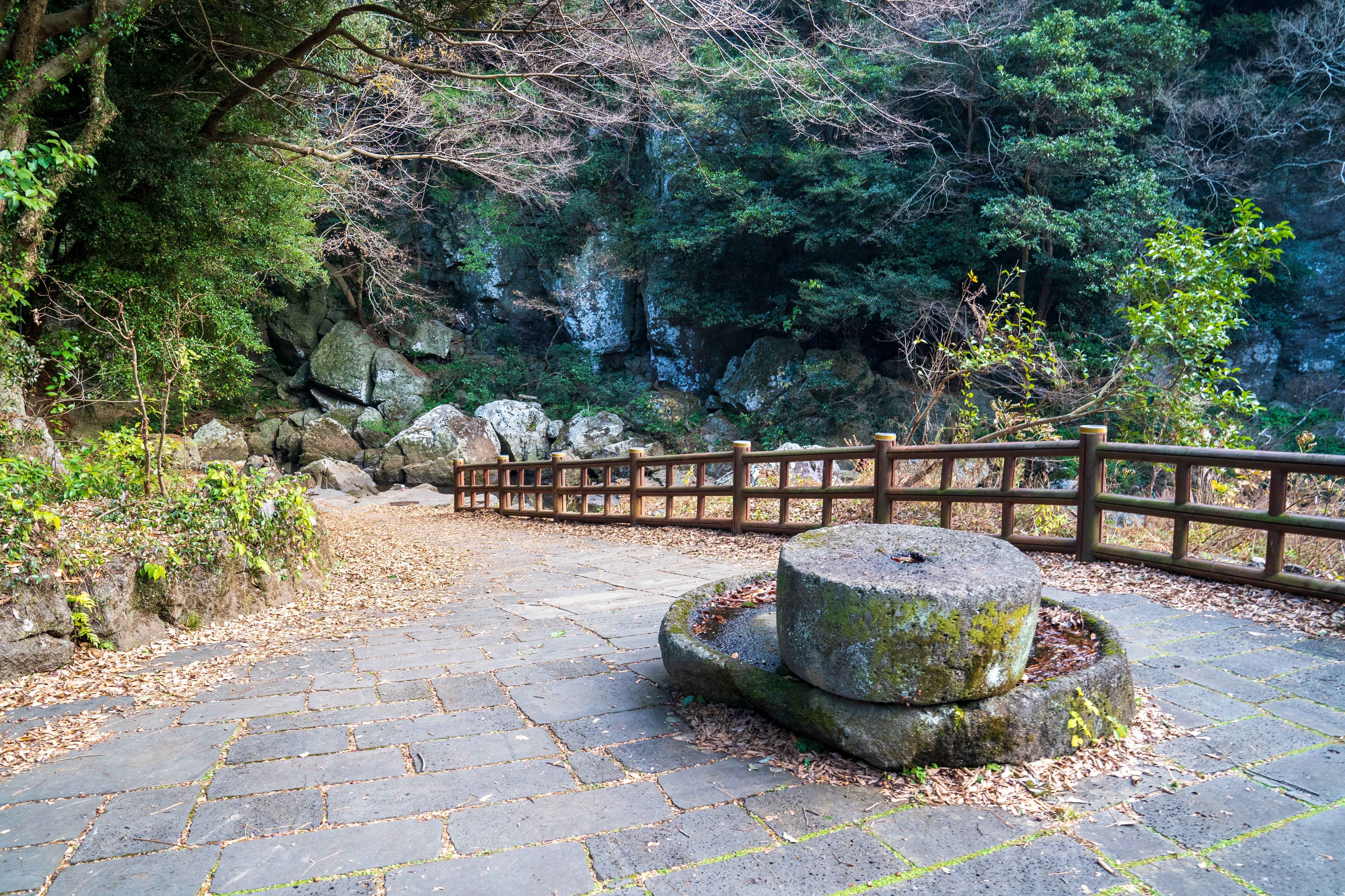 제주도 안덕계곡 사진