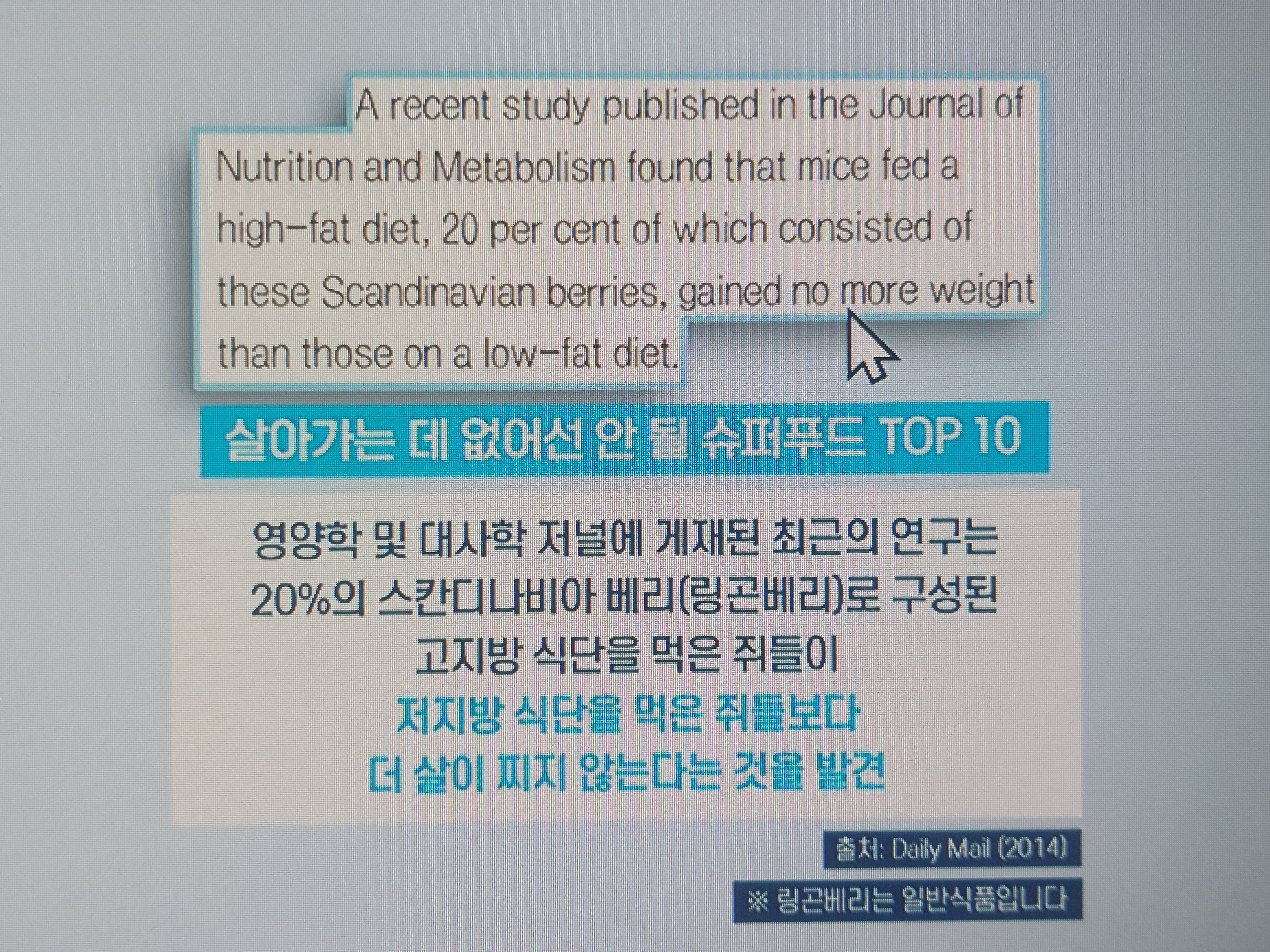 링곤베리 효능
