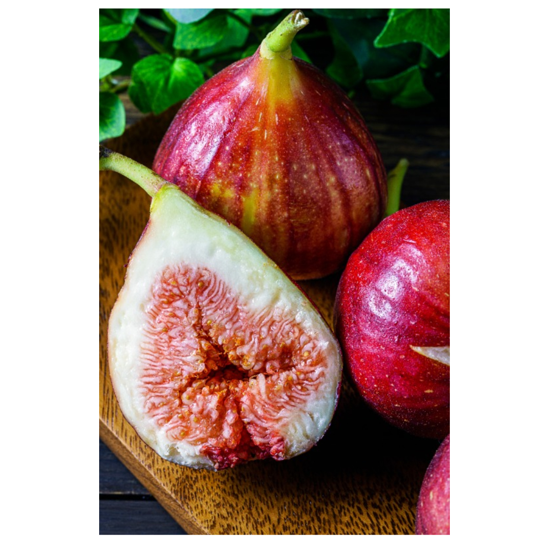 무화과와 관련된 사진입니다.