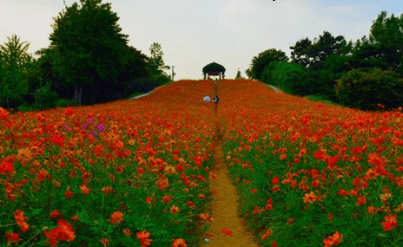 서울근교 단풍 명소 추천