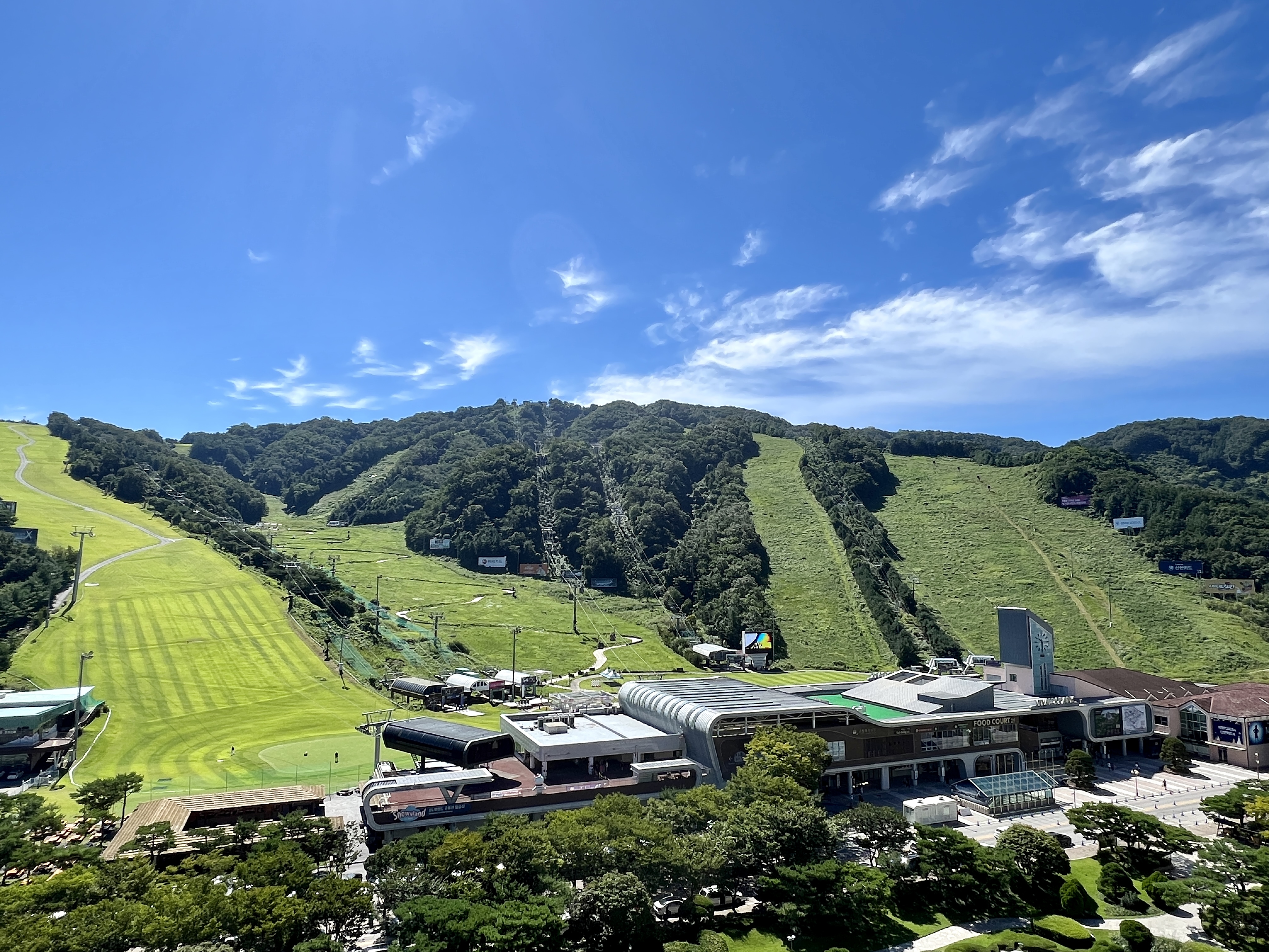 소노벨 C동에서 본 슬로프 아침 뷰