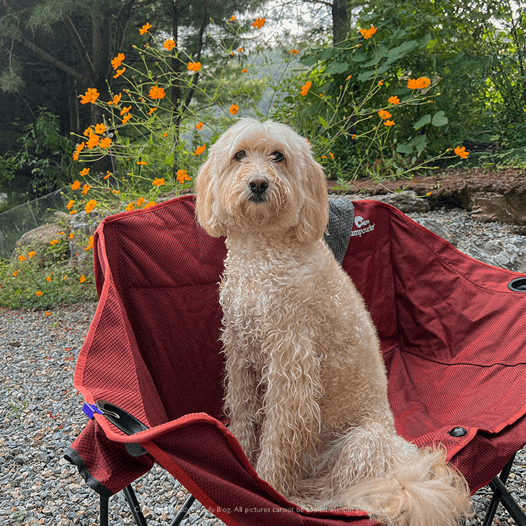 물놀이 한 쥬디