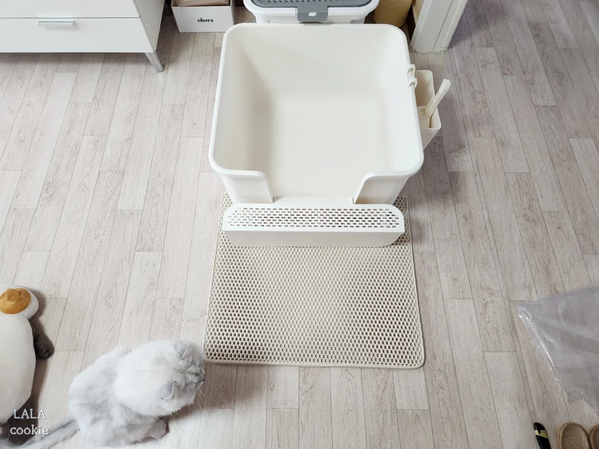 고양이-모래-매트-추천-제품-고양이-화장실-밑에-깐-모래-매트