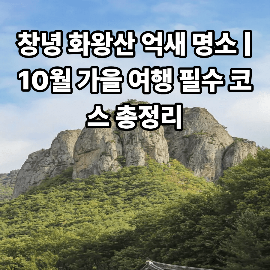창녕- 화왕산- 억새 명소--10월-가을- 여행